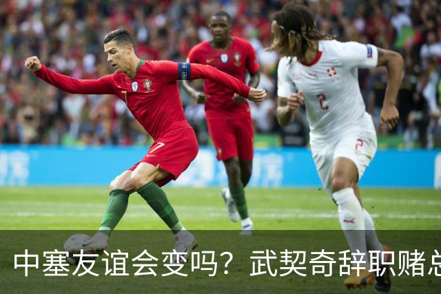 中塞友谊会变吗？武契奇辞职赌总理败选，新领导对华态度模棱两可