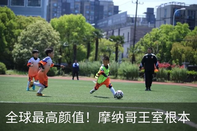全球最高颜值！摩纳哥王室根本“脸蛋奇迹家族”！