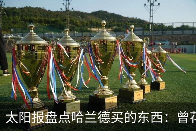 太阳报盘点哈兰德买的东西：曾花10万镑买古籍；豪购玩偶