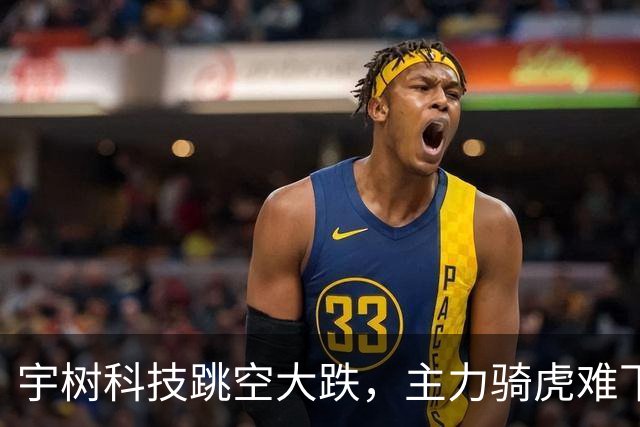 宇树科技跳空大跌，主力骑虎难下，硬着头皮拉，但依然无济于事！