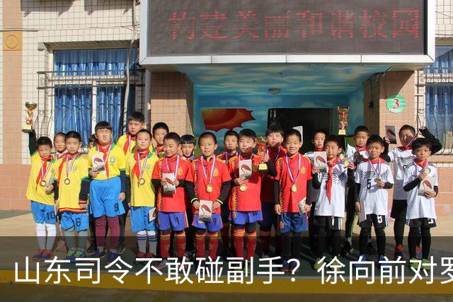 山东司令不敢碰副手？徐向前对罗荣桓一令不发，主席连换三将才破局