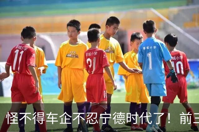 怪不得车企不忍宁德时代了！前三季度疯赚645亿