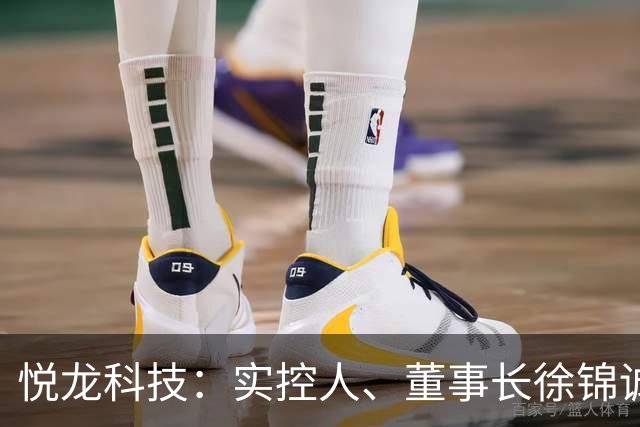 悦龙科技：实控人、董事长徐锦诚因公途中遇交通事故逝世