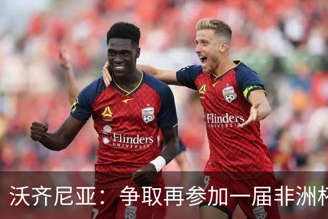 沃齐尼亚：争取再参加一届非洲杯；退役后想在祖国开间门将学院