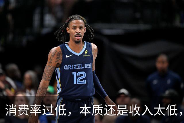 消费率过低，本质还是收入太低，提高分配收入才是重点
