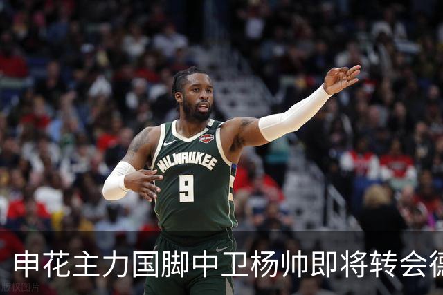申花主力国脚中卫杨帅即将转会德甲霍芬海姆，身价9000万谣言已破