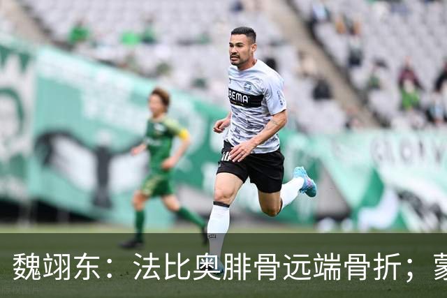魏翊东：法比奥腓骨远端骨折；蒙哥马利合同不止一年