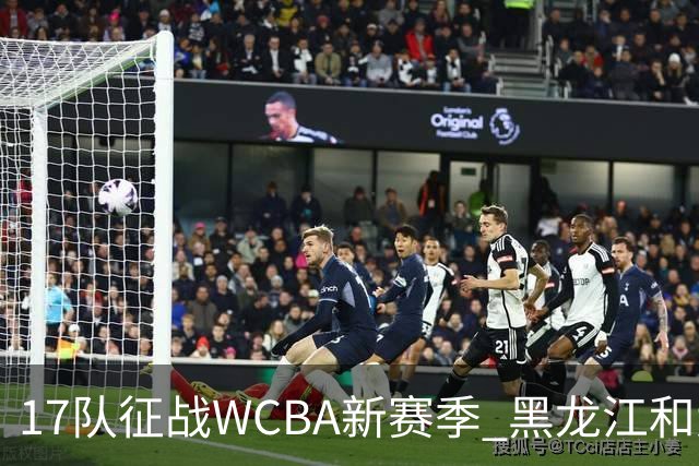 17队征战WCBA新赛季 黑龙江和大体协女篮缺席